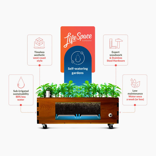LowRider Self-Watering Planter