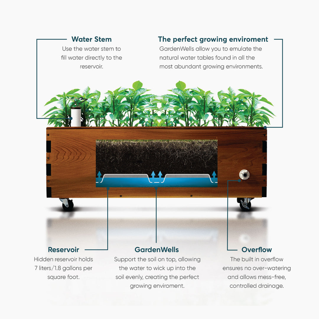 LowRider Self-Watering Planter