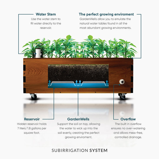 LowRider Self-Watering Planter