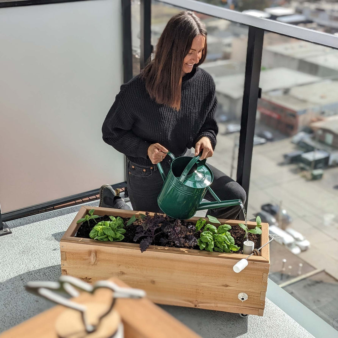 self watering tote planter LowRider Self-Watering Planter
