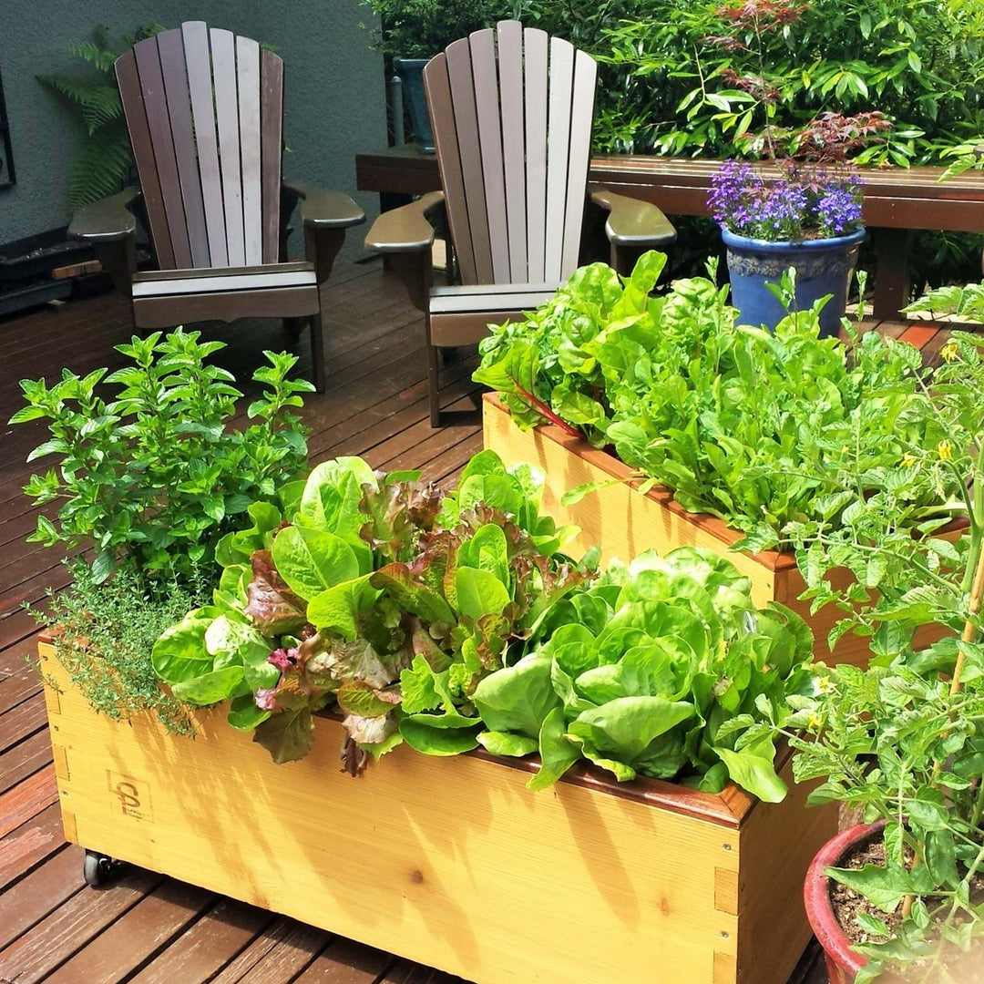 LowRider Self-Watering Planter
