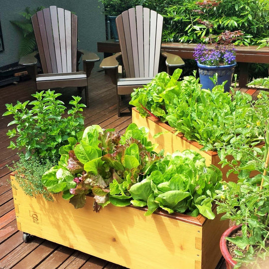 LowRider Self-Watering Planter