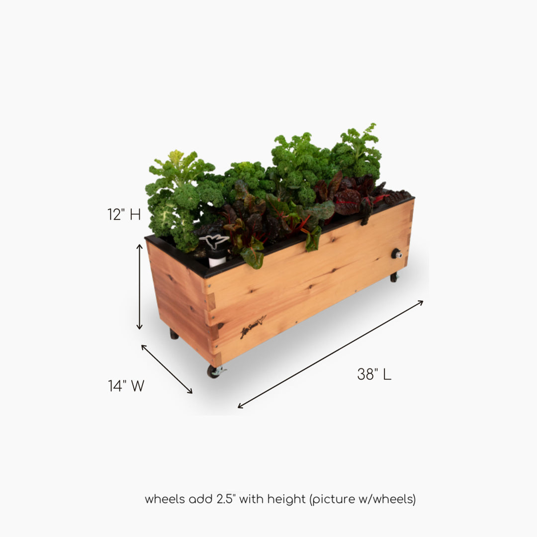 LowRider Self-Watering Planter