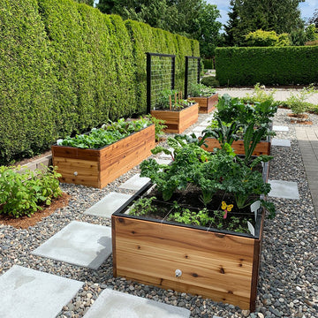Artifex Self-Watering Garden / Raised Bed