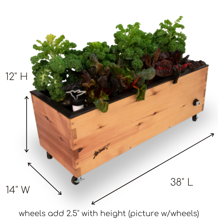 LowRider Self-Watering Planter
