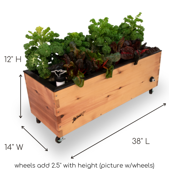 LowRider Self-Watering Planter