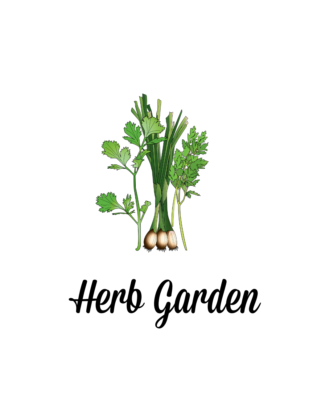 The Herb Garden | Year Long Seed Collection / Starter Kit