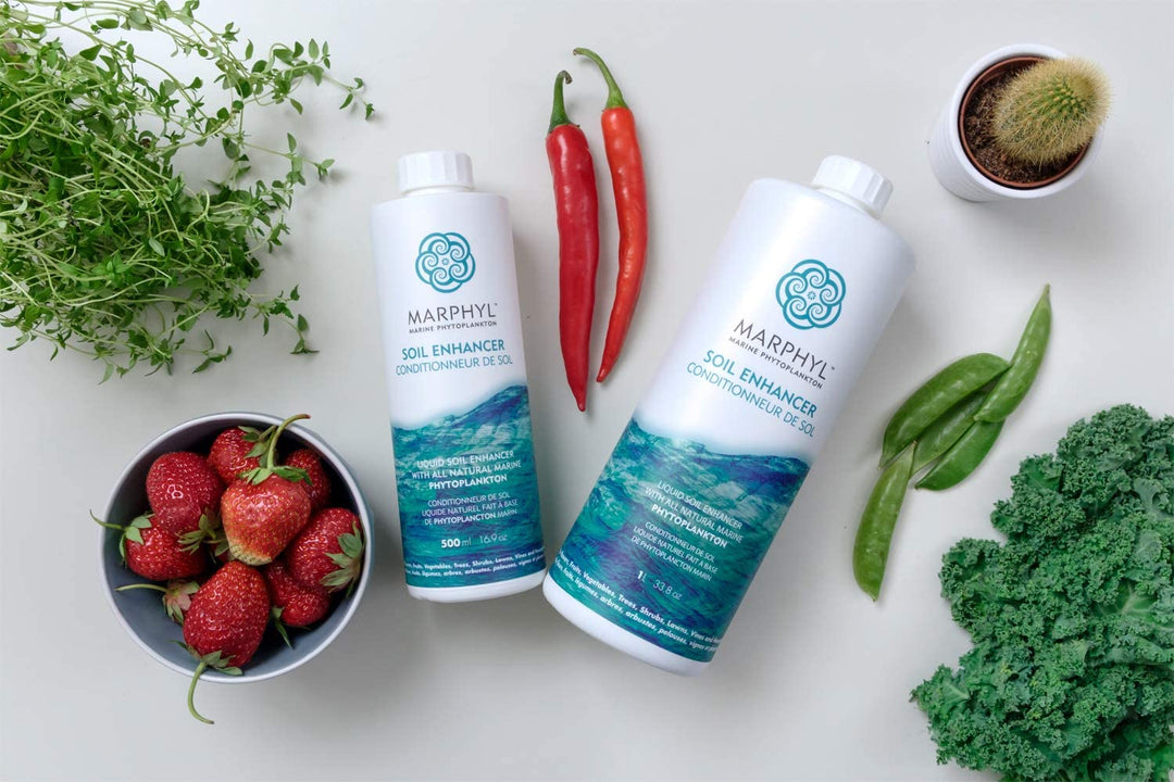Marphyl Liquid Organic Fertilizer / Soil Enhancer from Vancouver Island