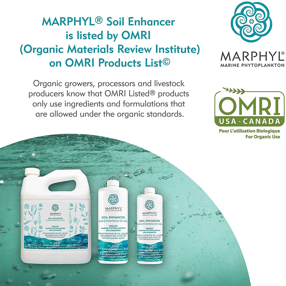 Marphyl Liquid Organic Fertilizer / Soil Enhancer from Vancouver Island