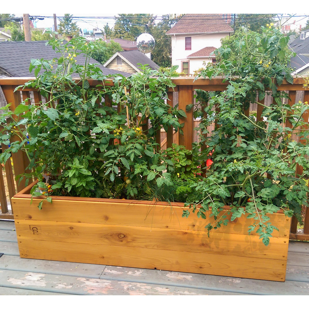 Artifex - Self-Watering Planter