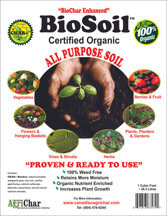 LifeSpace Organic Living Soil