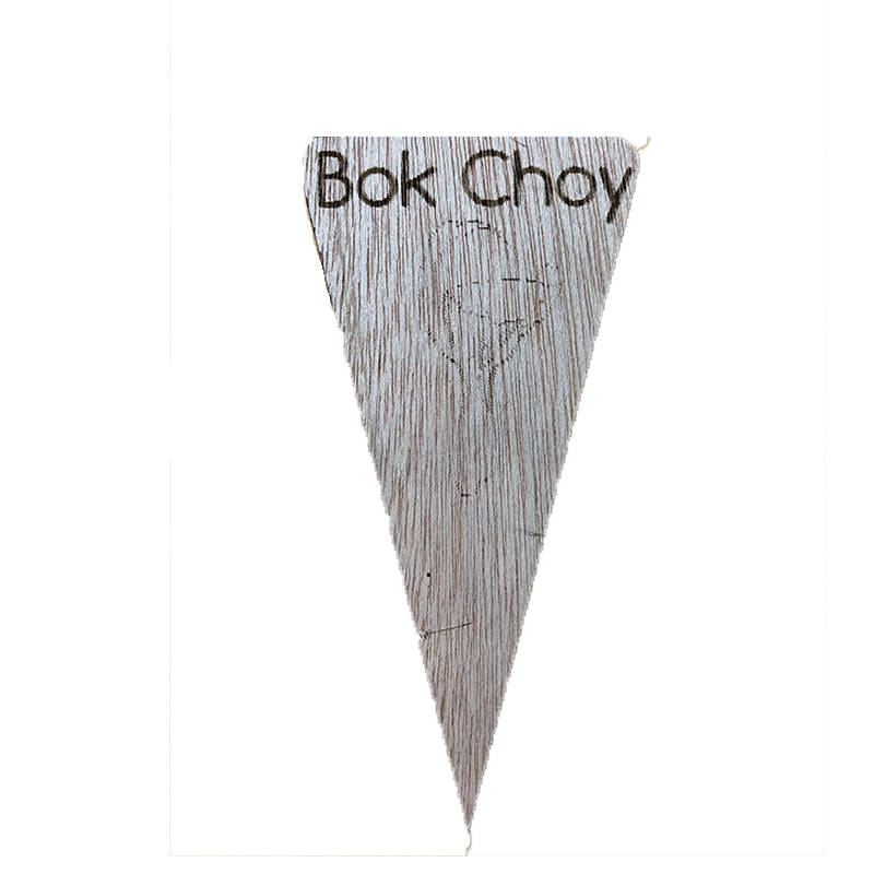 Bok Choy