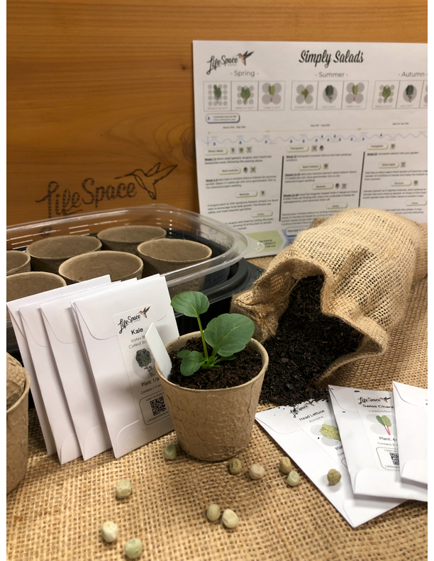Roots & Shoots | Year Long Seed Collection / Starter Kit