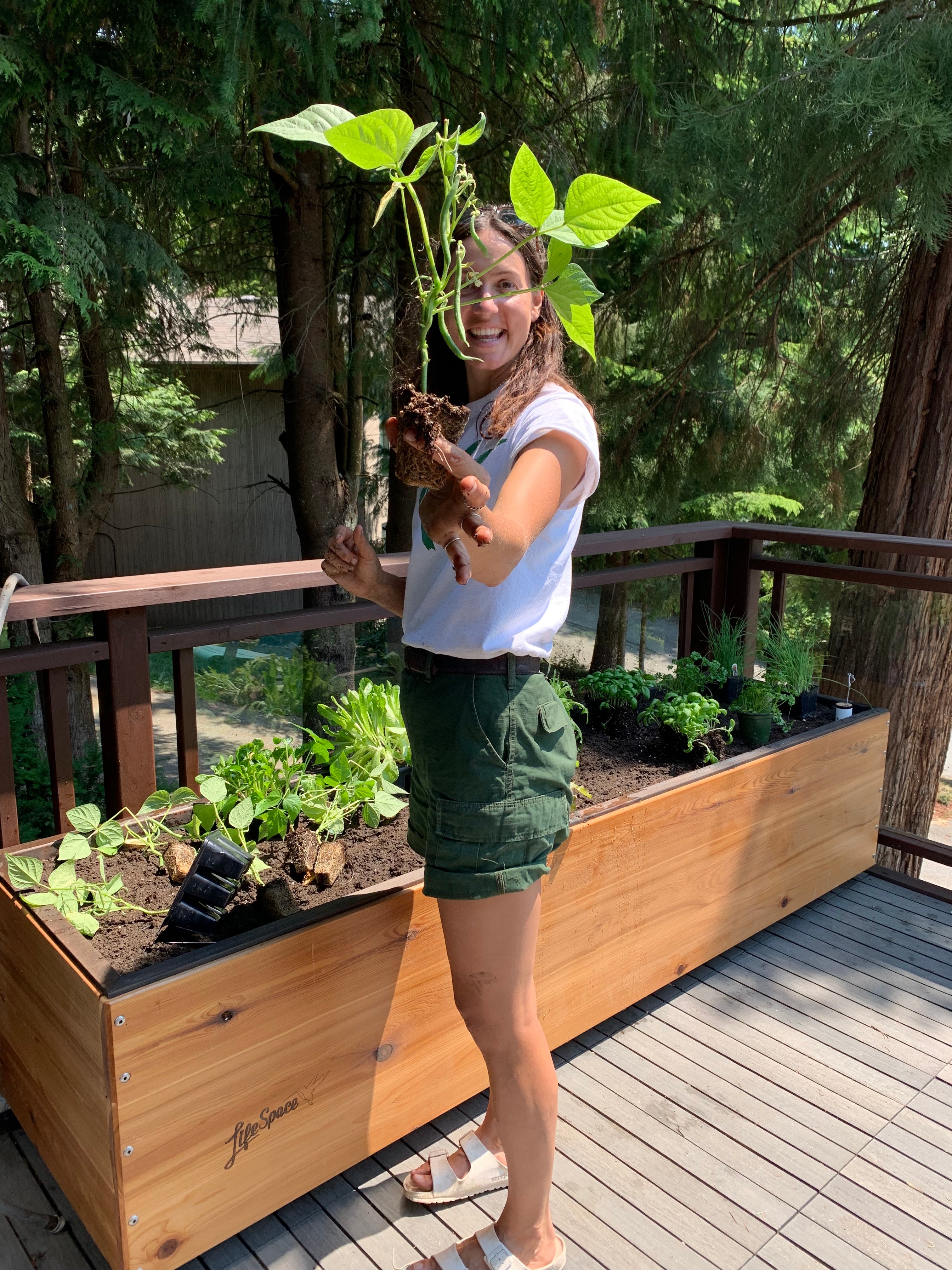 Edible Garden Consultation