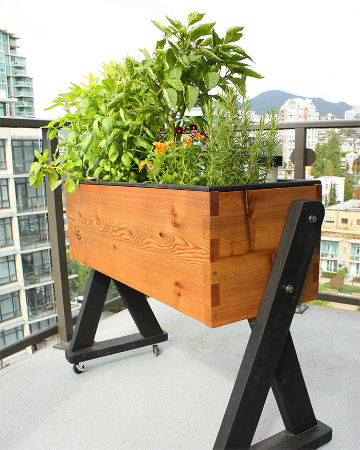 HighRise Self-Watering Planter