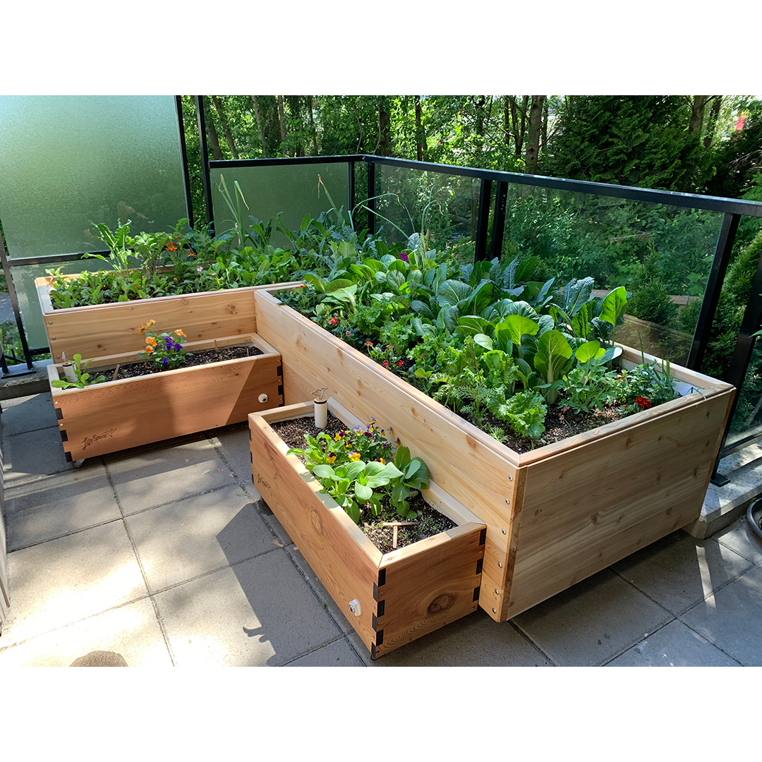 Artifex - Self-Watering Planter