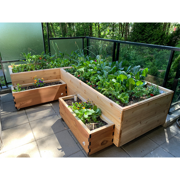 ekoxe garden planter Artifex Self-Watering Garden / Raised Bed