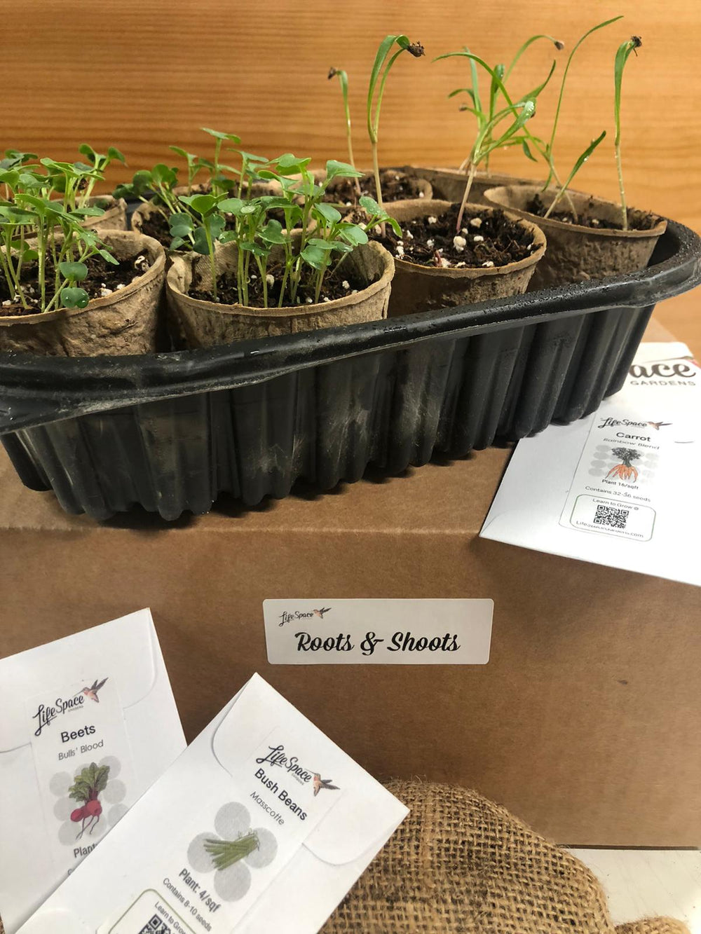 Roots & Shoots | Year Long Seed Collection / Starter Kit