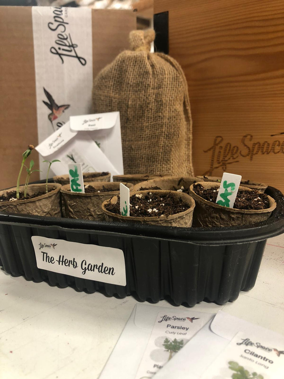 The Herb Garden | Year Long Seed Collection / Starter Kit