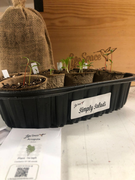 Simply Salads | Year Long Seed Collection / Starter Kit