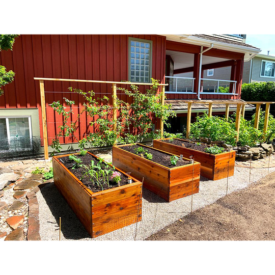 Artifex - Self-Watering Planter