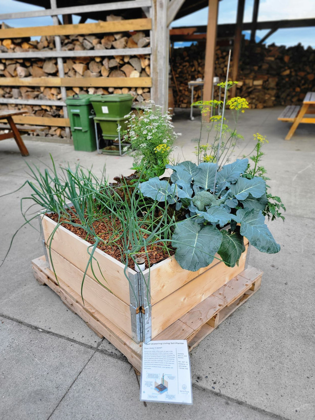Project Garden Box - Self-Watering Garden Kit