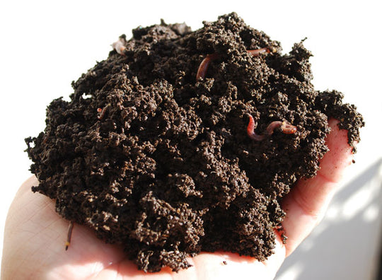 Mycelium Active Worm Castings